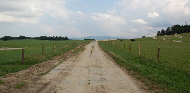 6. Star   panelov   cesta slou    c   jako pr  hon d  l  c   pastevn   are  l. 