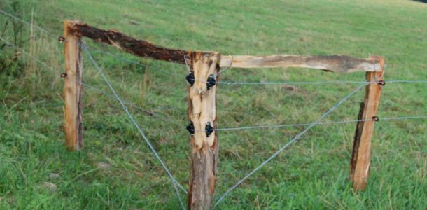 a12. Pr  b    n   roh dvou  ad  ho oplocen  .