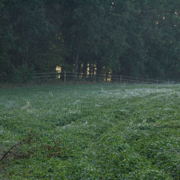 a14. I z d  lky viditeln   oplocen  .