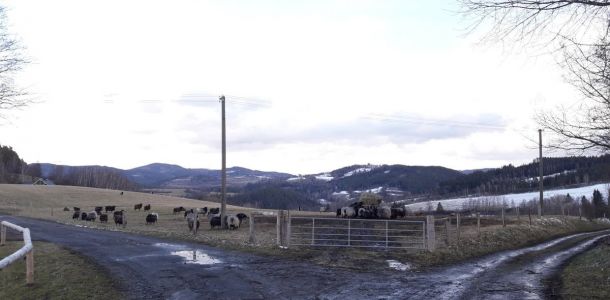 20190311 164147