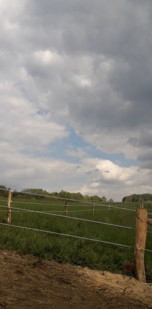 20190502 153846
