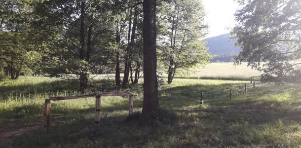 20190603 184821