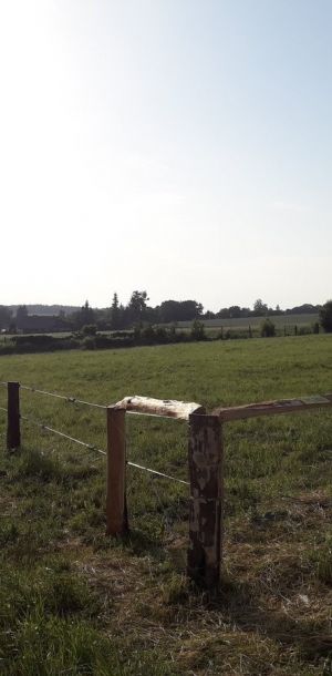 20190612 184501