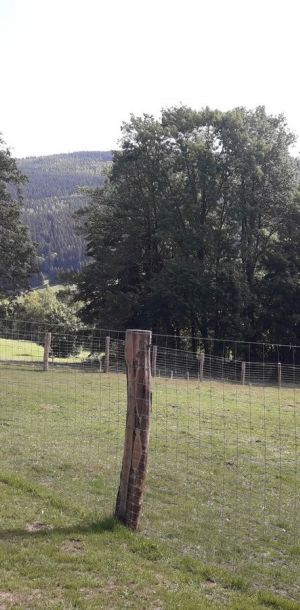 20190918 112725