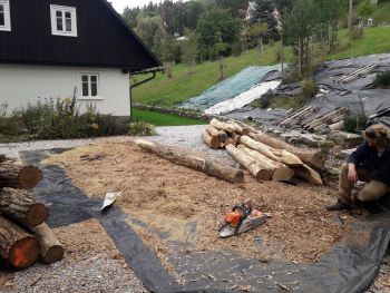 47. Oplocení proti zvěři v Hořením Vrchlabí