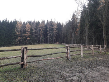 45. Hrázděné oplocení u zámečku v Návarově
