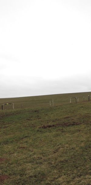 IMG 7949