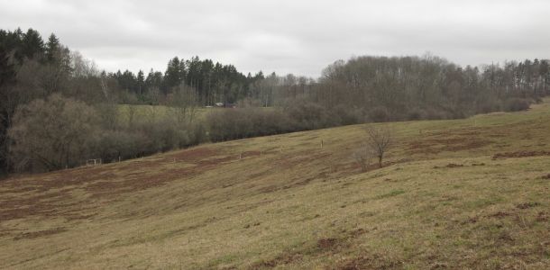 IMG 7971
