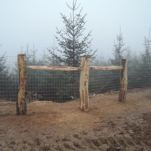 DSCN4899