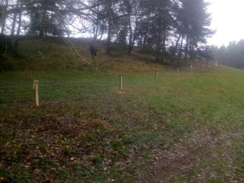 54. Pletivové oplocení ovcí v Olbramově