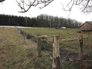 50. Oplocení RD a slepičího výběhu