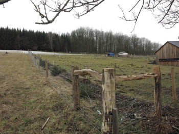 50. Oplocení RD a slepičího výběhu