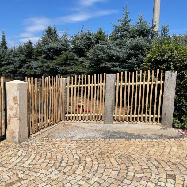 IMG 20250203 WA0145 resize