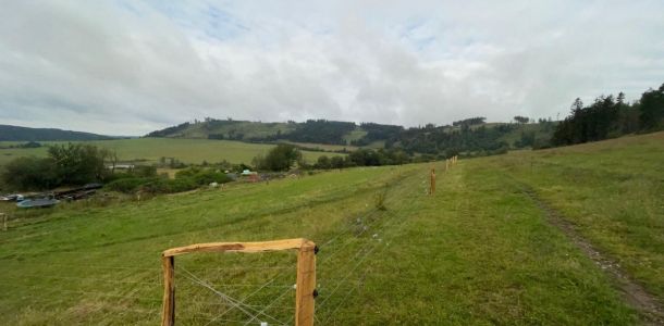 IMG 20250203 WA0061 resize