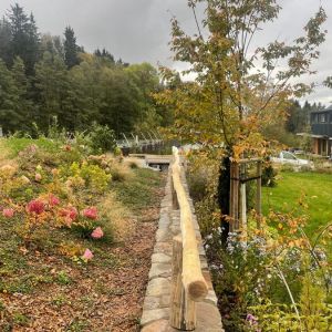 IMG 20250203 WA0075 resize