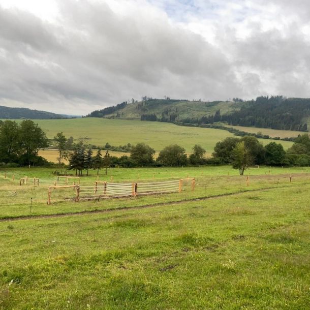 IMG 20250203 WA0227 resize