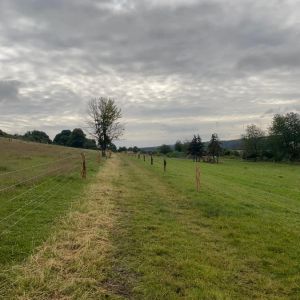 IMG 20250203 WA0235 resize