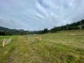 IMG 20250203 WA0239 resize