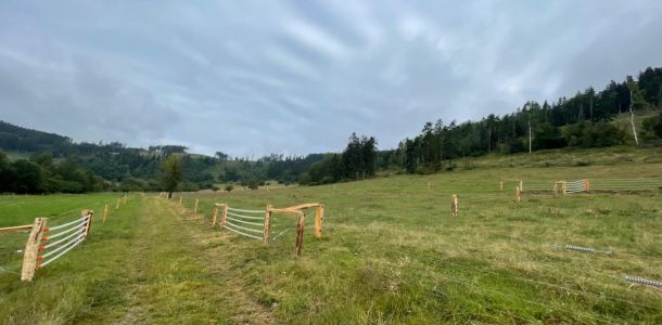 IMG 20250203 WA0239 resize