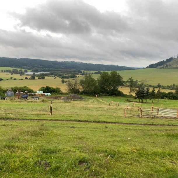 IMG 20250203 WA0242 resize