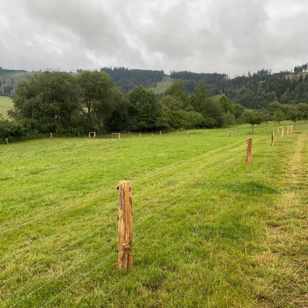 IMG 20250203 WA0243 resize