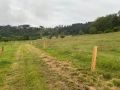 IMG 20250203 WA0245 resize