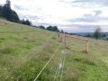 IMG 20250203 WA0254 resize