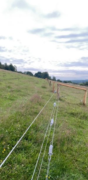 IMG 20250203 WA0254 resize