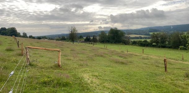 IMG 20250203 WA0262 resize