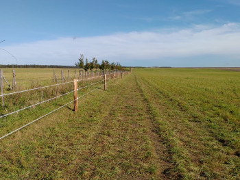 Oplocení pro koně equiwire Byšice