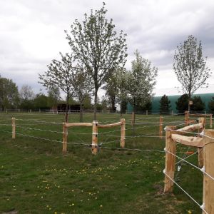 2020 rehr