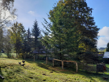 Oplocení pro ovce Stříbrná