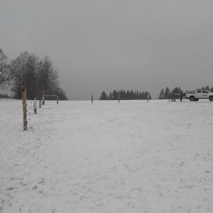 20200306