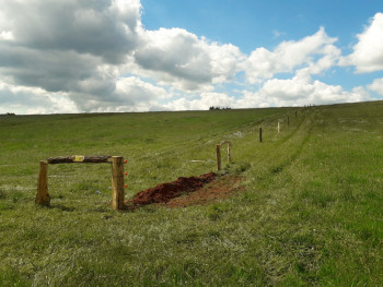 Oplocení pro skot Bukovina