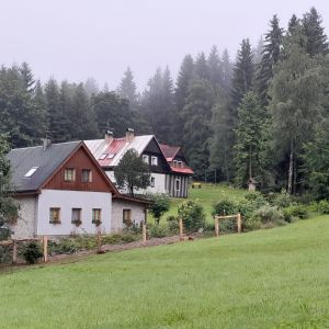 2021 p
